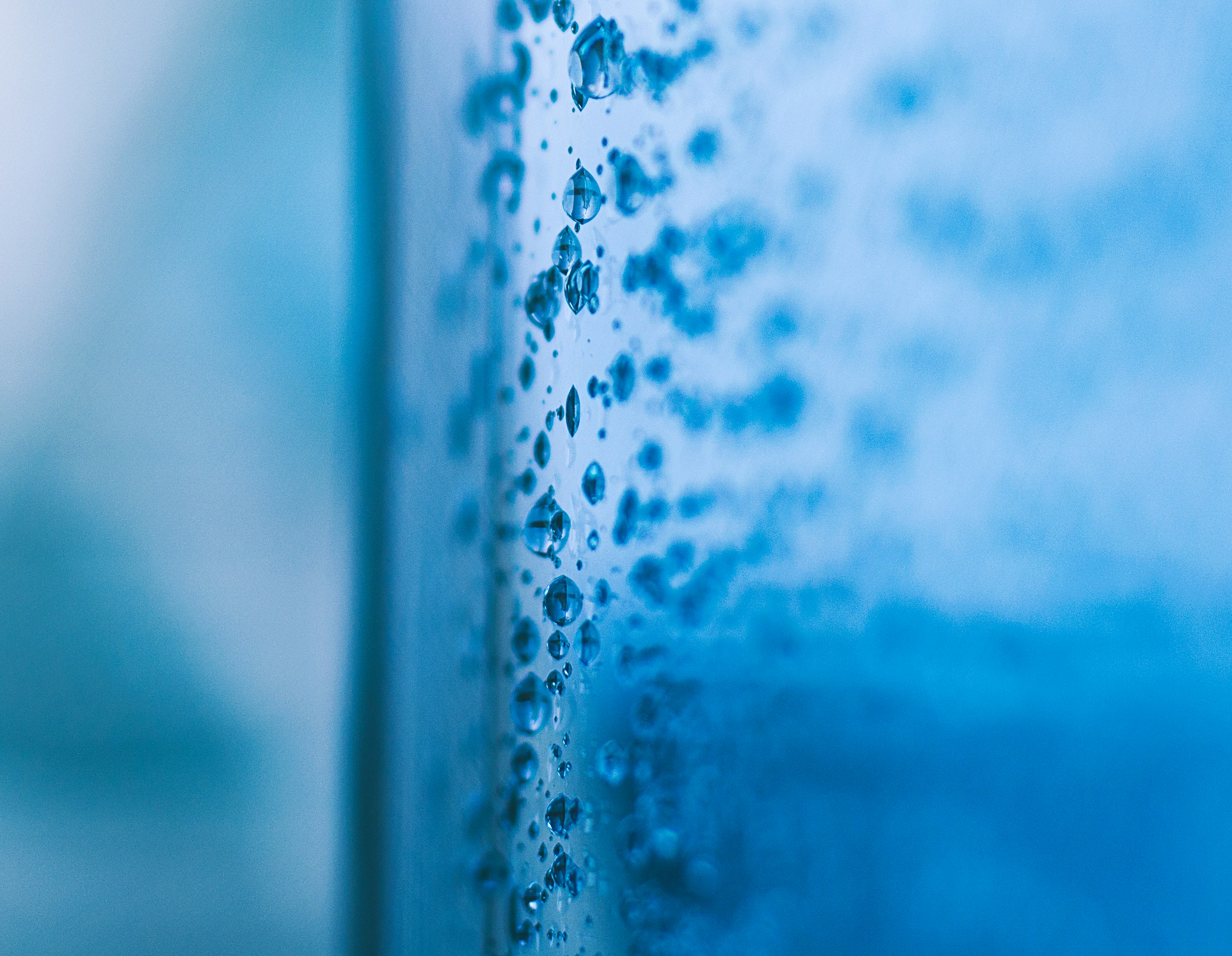 macro photography of water dew